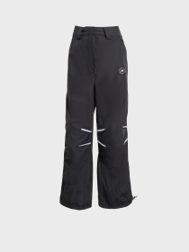 Брюки Adidas модель JW2687 Фото