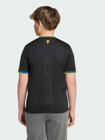 Футболки і поло Adidas модель KD4227 Фото
