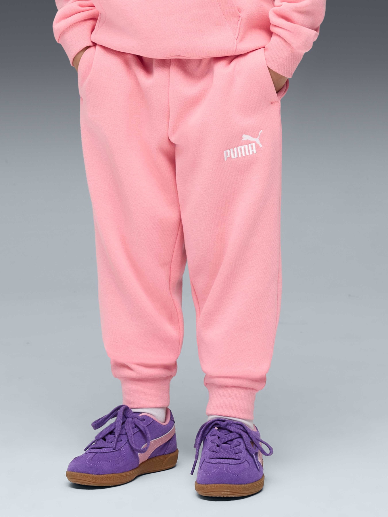 Штани PUMA Ess Small Logo Sweatpants модель 684933 Фото