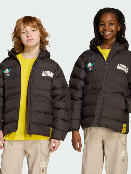 Куртки и дубленки Adidas модель JL9183 Фото