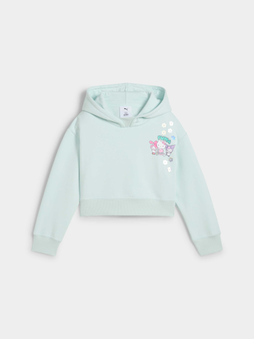 Худі та світшоти PUMA x Hk&fr Relaxed Hoodie модель 630067 Фото