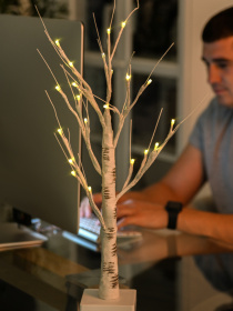 Дерево светодиодное на батарейках MBM HOME модель DH-LAMP-01 WHITE Фото