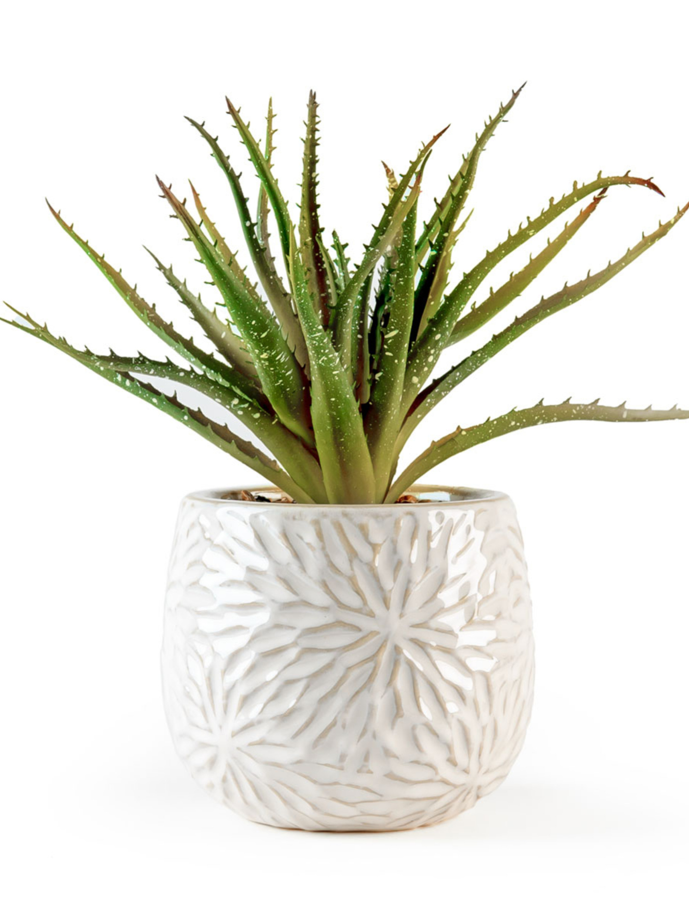 Искусственное растение в горшке MBM HOME модель DH-FLOWERS-13 GREEN/BEIGE Фото