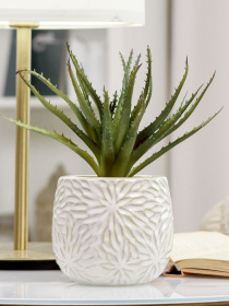 Искусственное растение в горшке MBM HOME модель DH-FLOWERS-13 GREEN/BEIGE Фото