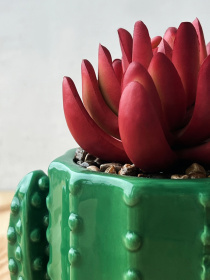 Искусственное растение в горшке MBM HOME модель DH-FLOWERS-15 PINK/GREEN Фото