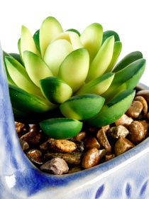 Искусственное растение в горшке MBM HOME модель DH-FLOWERS-20 GREEN/BLUE Фото