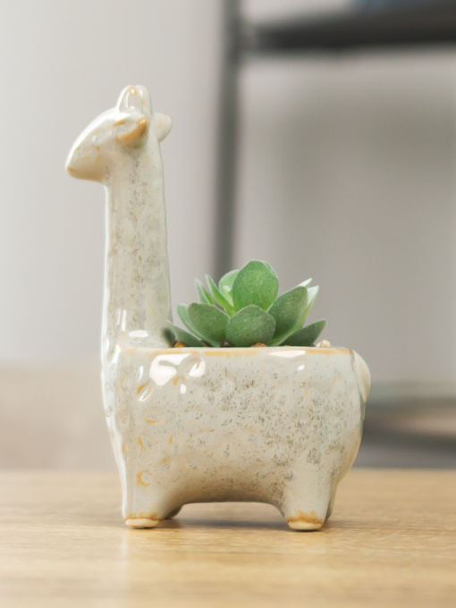 Штучна рослина у горщику MBM HOME модель DH-FLOWERS-20 GREEN/WHITE Фото