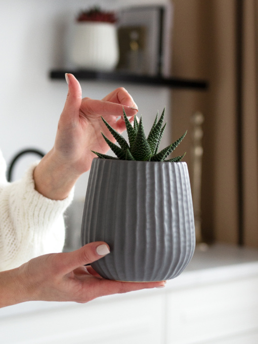 Горщик-кашпо для рослин сірий MBM HOME модель DH-FLOWERS-25 S GRAY Фото