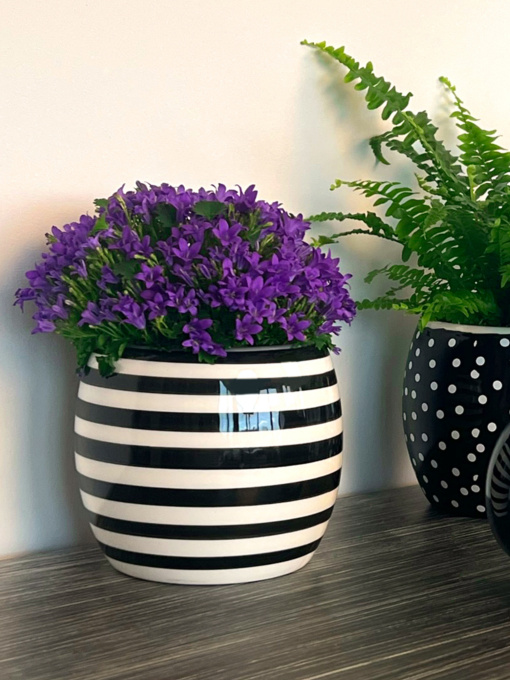 Горщик-кашпо для рослин чорно-білий MBM HOME модель DH-FLOWERS-27 WHITE/BLACK Фото