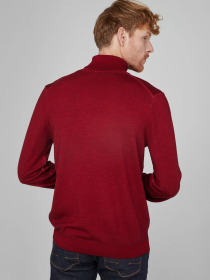 Светри та кардигани Pierre Cardin модель C5 50703.5037.4301 Фото