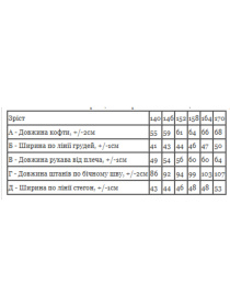 Одяг для дому та сну Носи своє модель 6079-035-1-1-elektrik-m-qch Фото