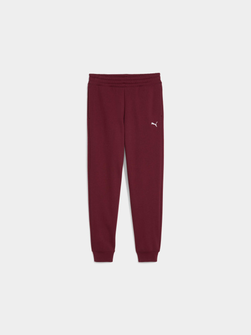 Штани PUMA Ess Sweatpants Cl Fl (s) модель 682467 Фото