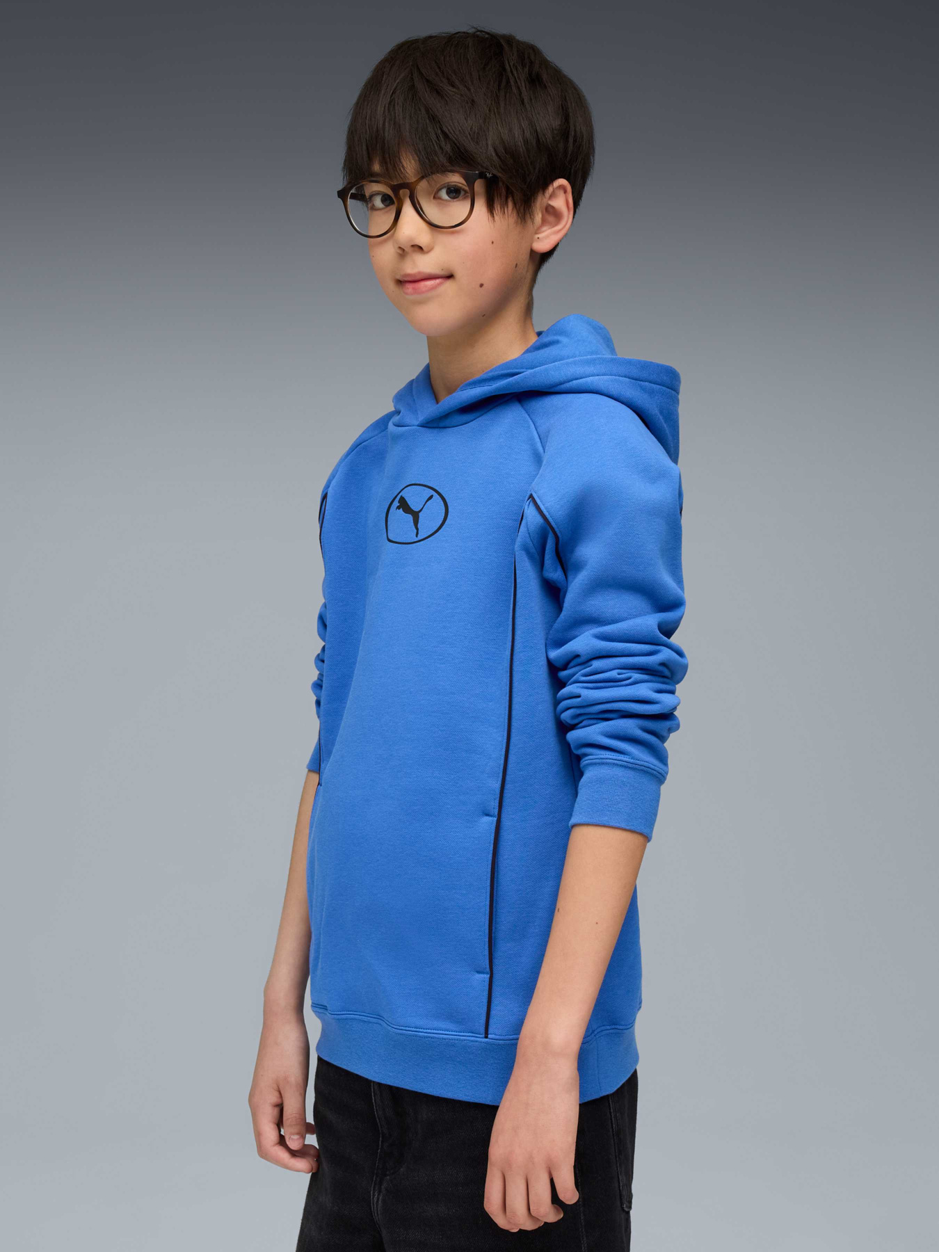 Худі та світшоти PUMA Sport Hoodie Fl модель 688857 Фото
