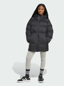 Куртки та дублянки Adidas MyShelter модель JN1998 Фото