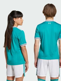 Футболки и поло Adidas модель JV6468 Фото