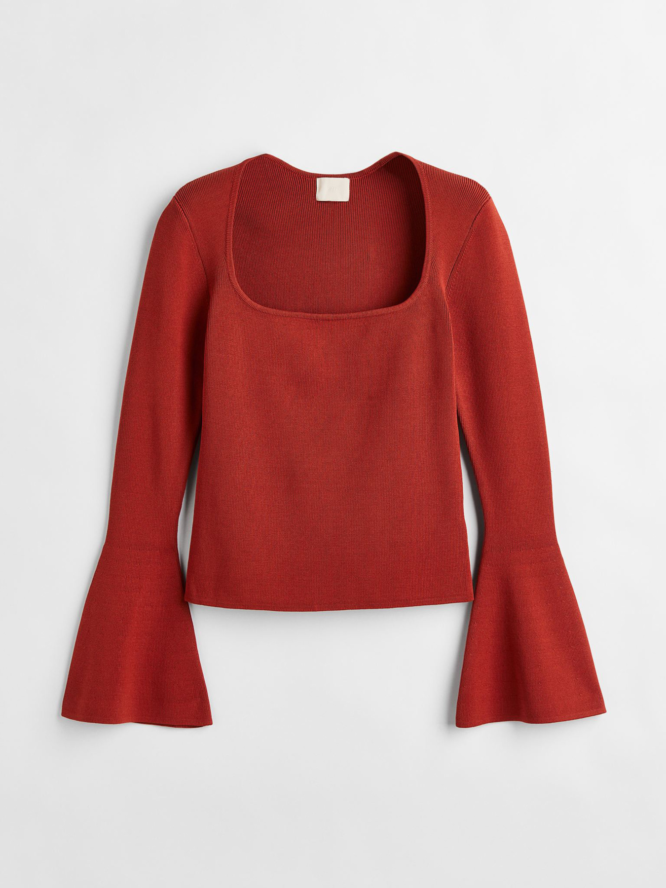 Худи и свитшоты H&M модель 1125581ral_Терракотовый Фото