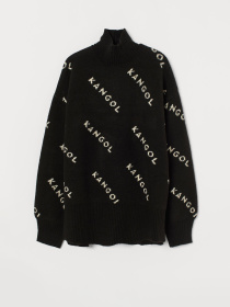 Худи и свитшоты H&M модель 9347932wer_Черный Фото