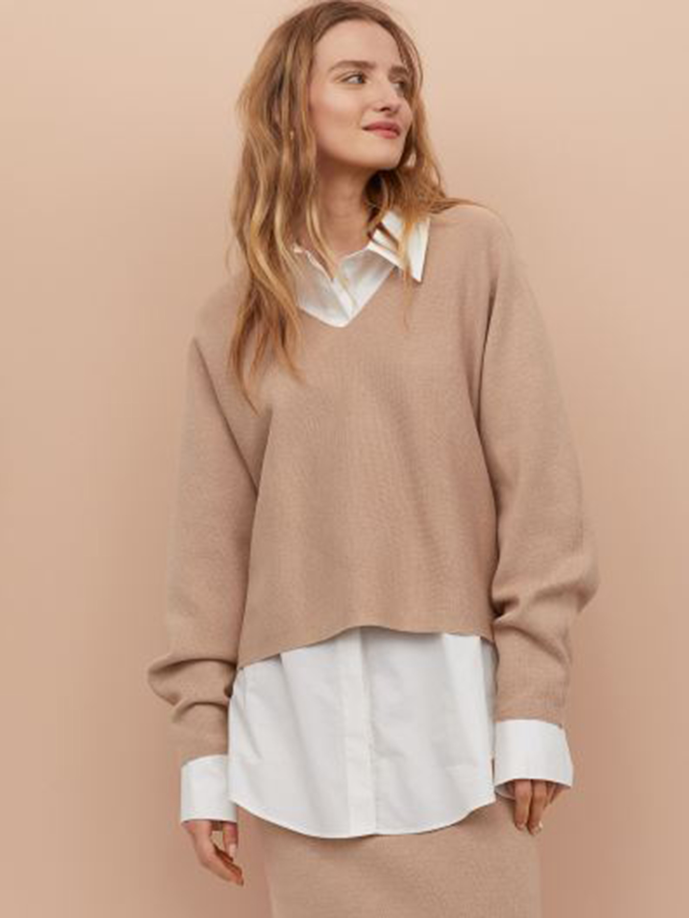 Худи и свитшоты H&M модель 7945381wer_Бежевый Фото