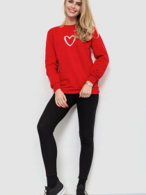 Худі та світшоти Ager модель У-1126496::000000050 Фото