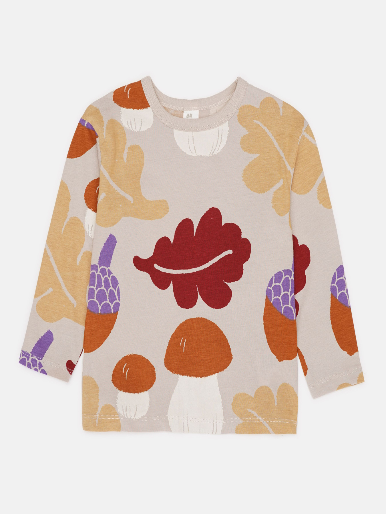 Худи и свитшоты H&M модель 77543 Фото