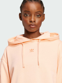 Худи и свитшоты Adidas модель JJ3499 Фото
