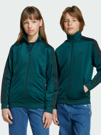 Худи и свитшоты Adidas Adicolor модель JV8588 Фото