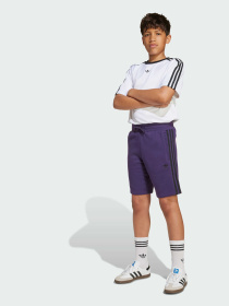 Шорти Adidas Adicolor модель JV8633 Фото