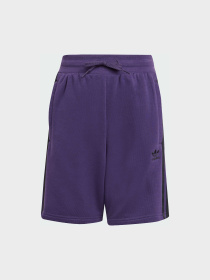 Шорти Adidas Adicolor модель JV8633 Фото