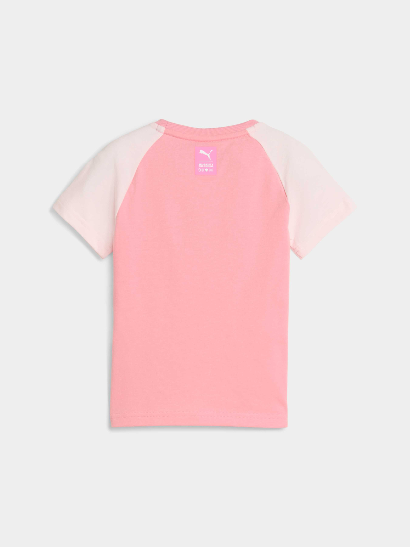 Футболки и поло PUMA x Hk&fr Slim Tee модель 632391 Футболки и поло PUMA x Hk&fr Slim Tee модель 632391 Фото
