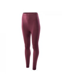 Нижнее белье Hitec Кальсони Lady модель LADY HIKRA BOTTOM-FIG Фото