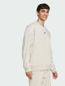 Худи и свитшоты Adidas модель JV8020 Фото