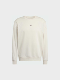 Худи и свитшоты Adidas модель JV8020 Фото