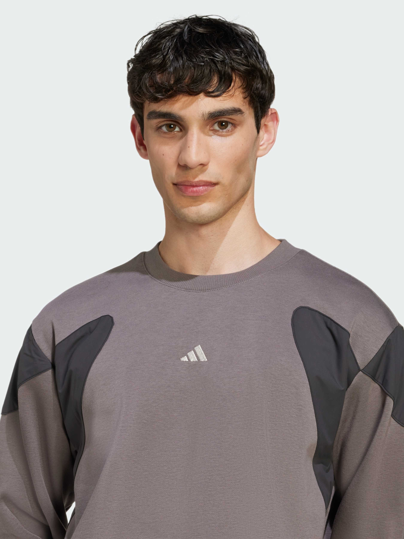 Худі та світшоти Adidas модель JV8019 Худі та світшоти Adidas модель JV8019 Фото