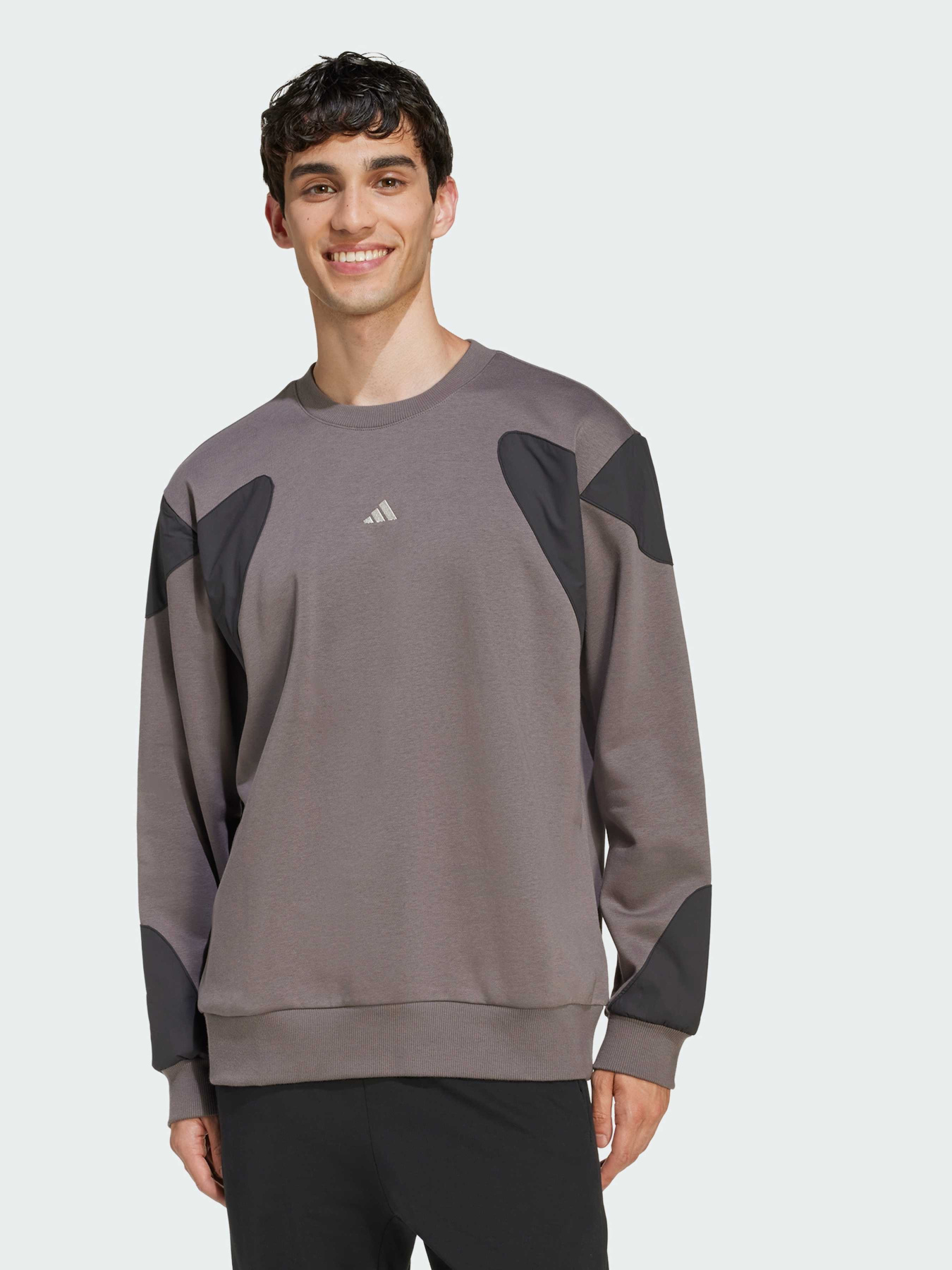 Худі та світшоти Adidas модель JV8019 Худі та світшоти Adidas модель JV8019 Фото