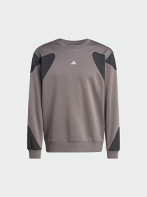 Худі та світшоти Adidas модель JV8019 Фото