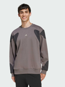 Худи и свитшоты Adidas модель JV8019 Фото
