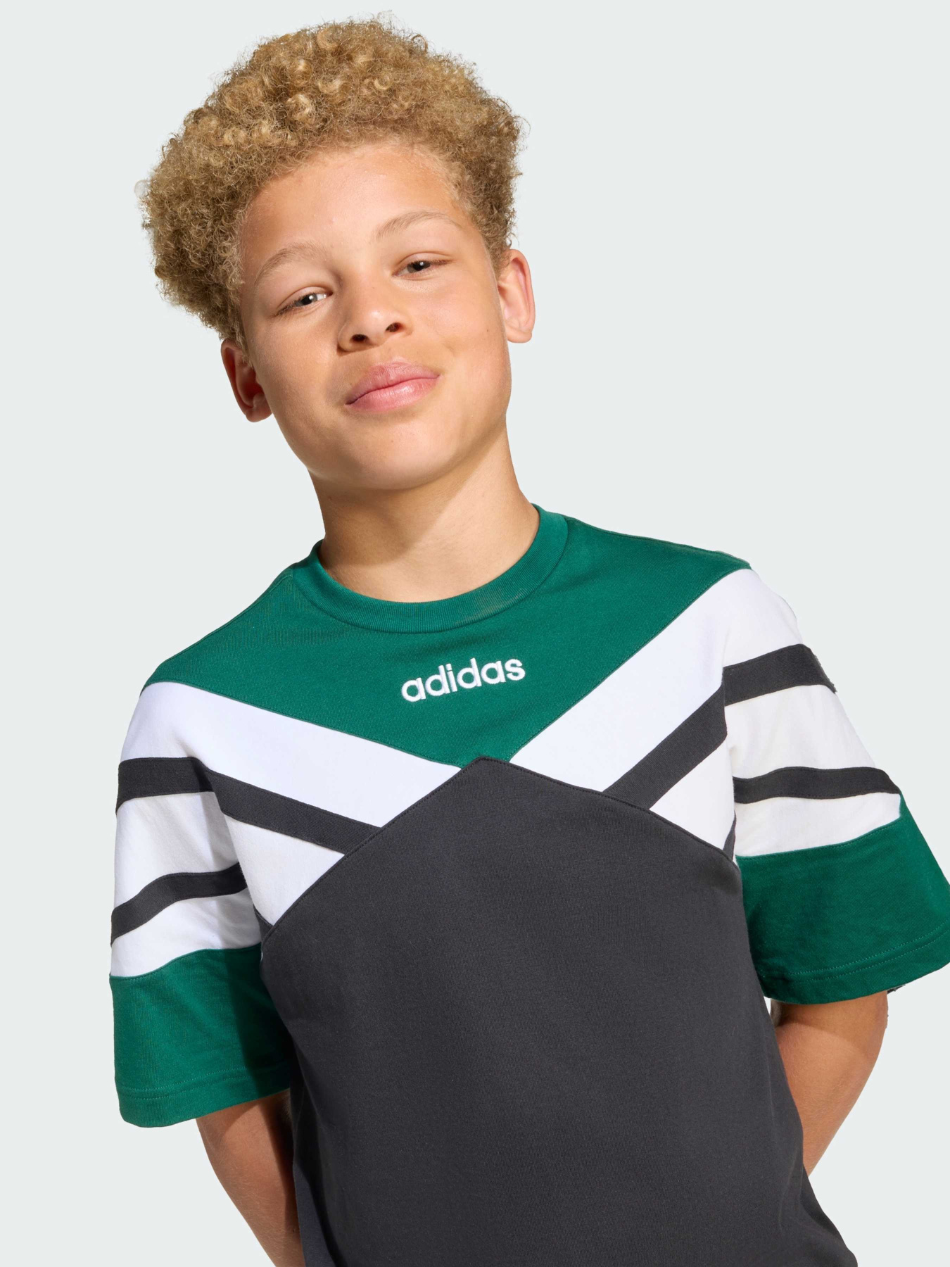 Футболки и поло Adidas модель JW9123 Футболки и поло Adidas модель JW9123 Фото