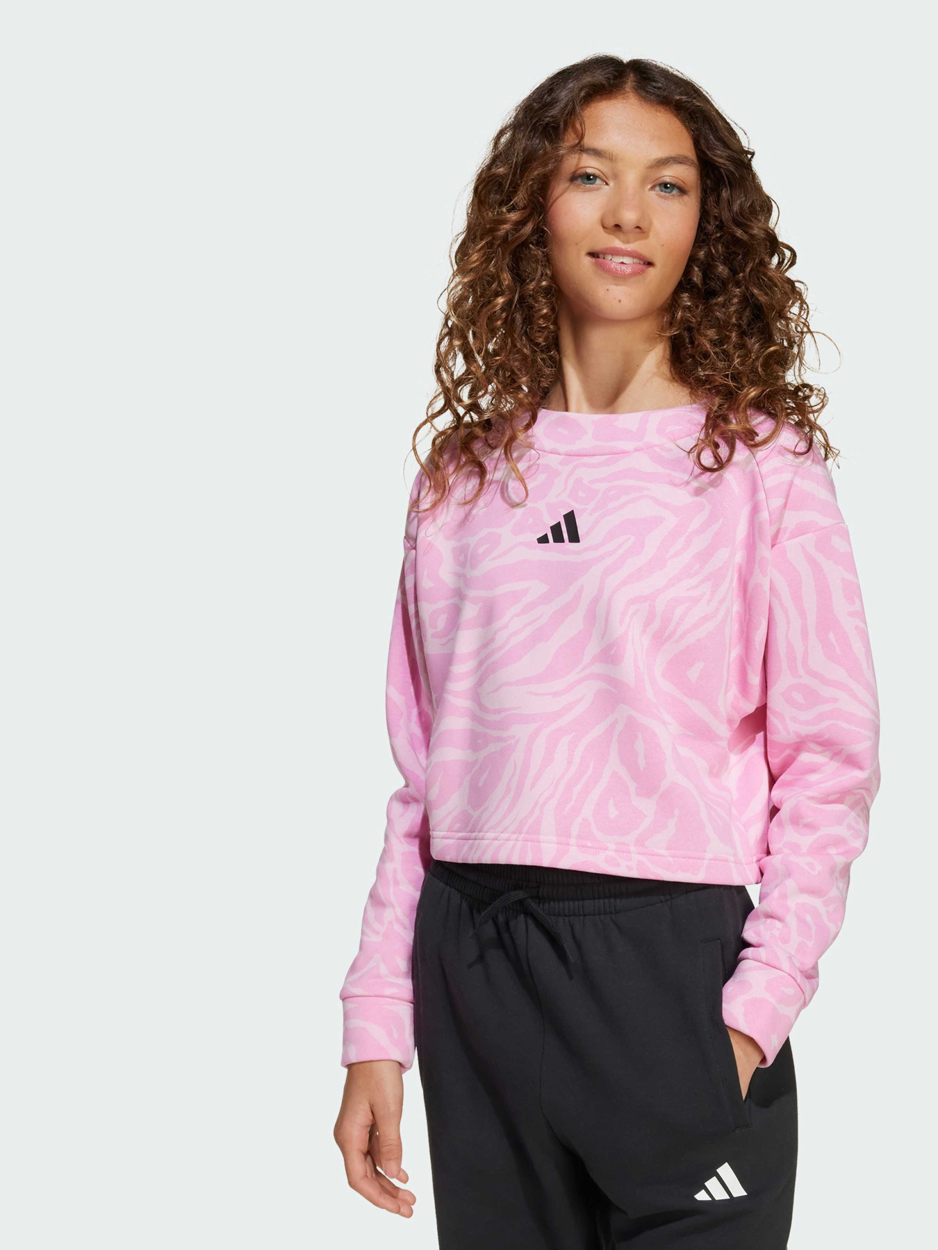 Худи и свитшоты Adidas модель JW7541 Фото