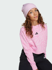Худи и свитшоты Adidas модель JW7541 Фото