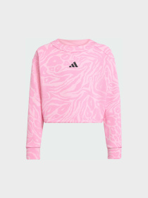 Худи и свитшоты Adidas модель JW7541 Фото