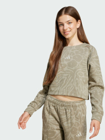 Худи и свитшоты Adidas модель JW7543 Фото