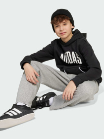 Худи и свитшоты Adidas модель JM1536 Фото