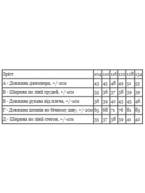 Костюмы Носи своє модель 6063-023-33-6-nzhir-strong Фото