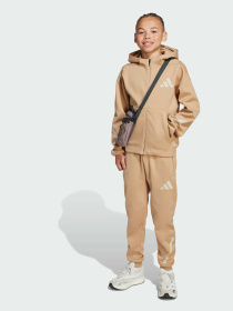 Штани Adidas ZNE модель JW4002 Фото