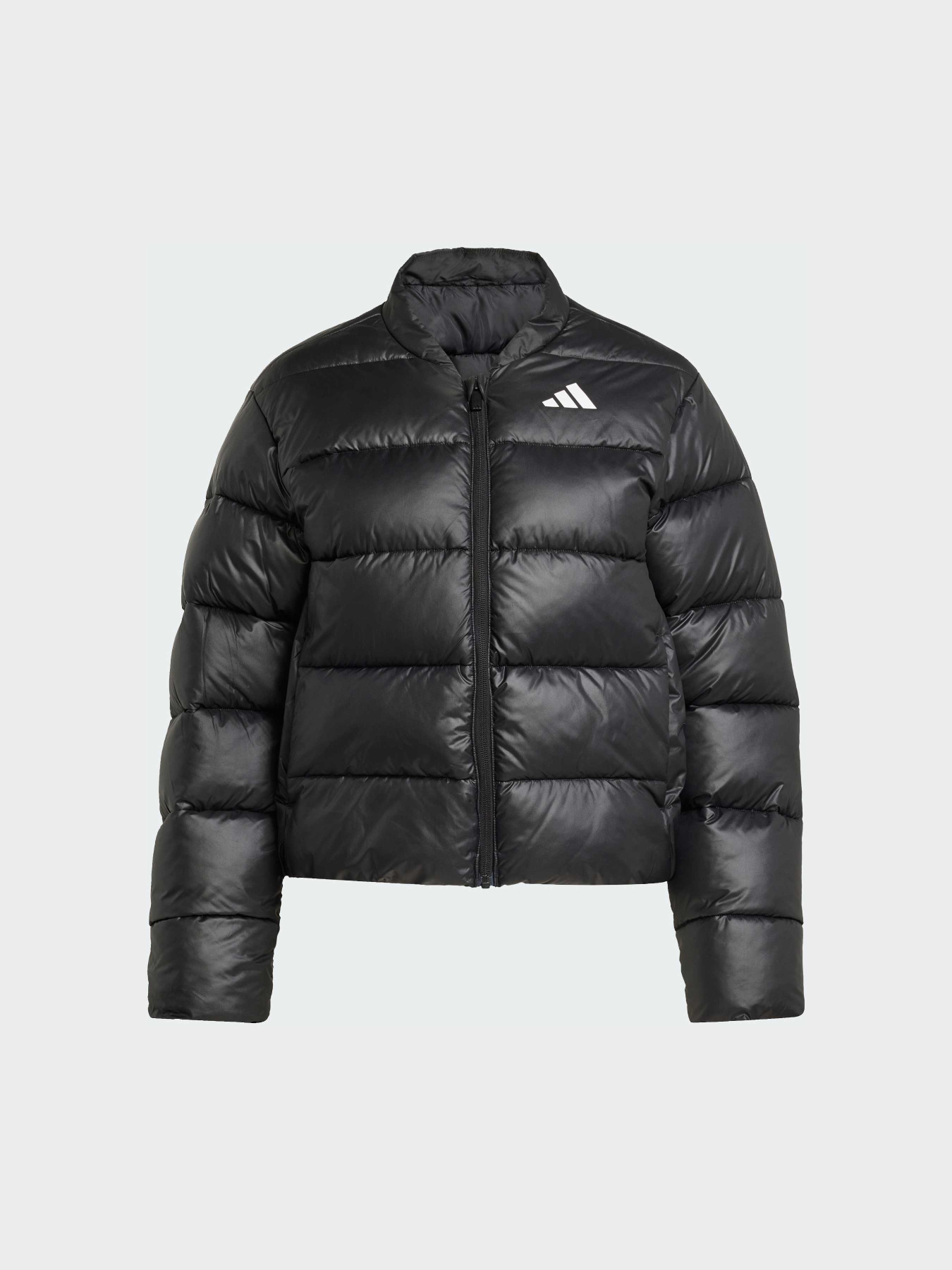 Куртки та дублянки Adidas модель JX7825 Фото