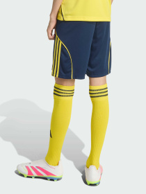 Шорти Adidas модель JN7985 Фото
