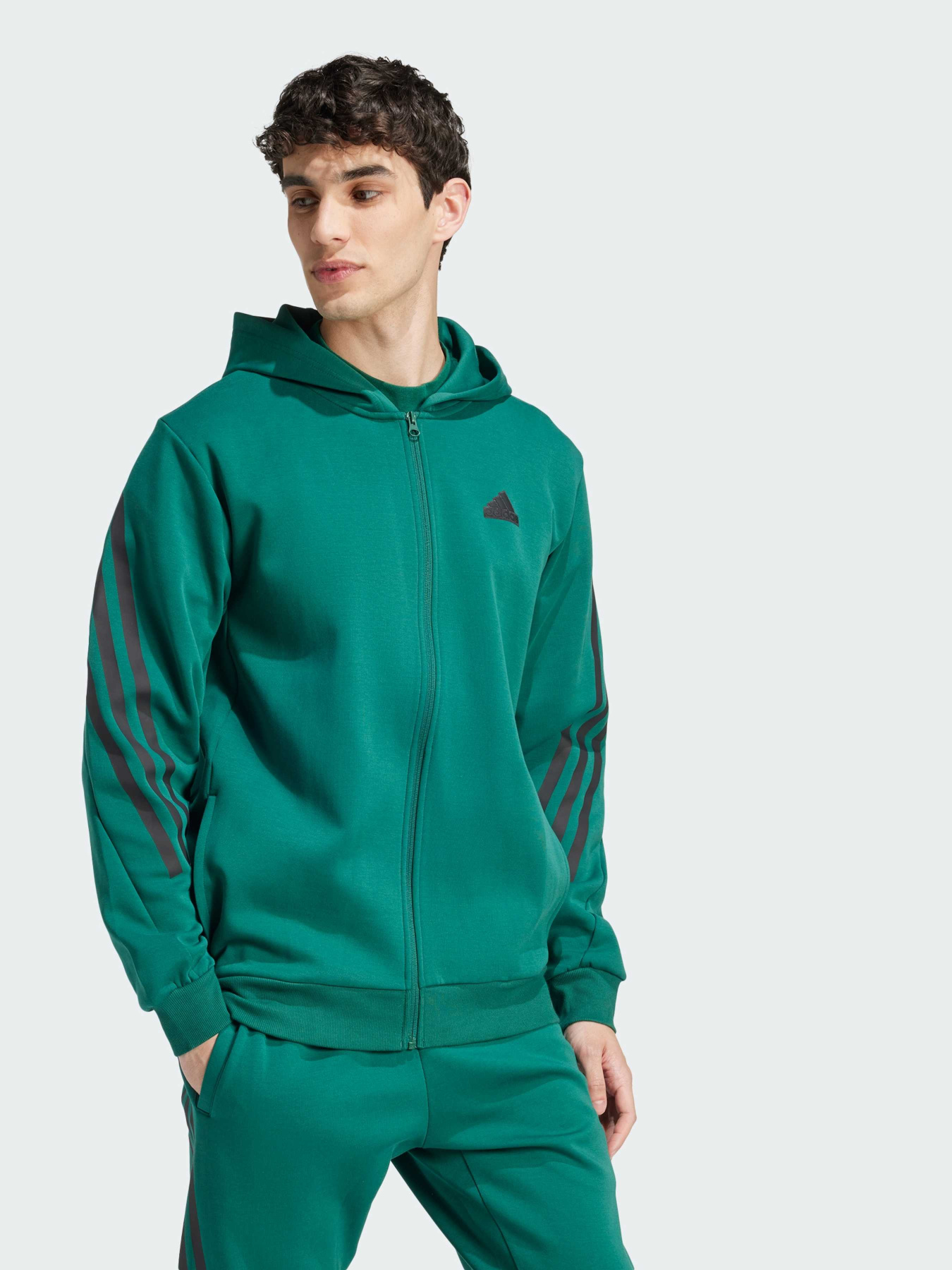 Худі та світшоти Adidas 3 Stripes модель IW8531 Фото