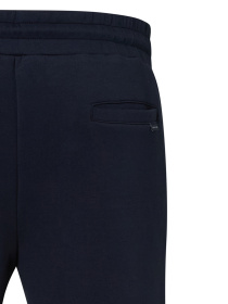 Брюки Pierre Cardin модель C5 40666.4044.6325 Фото
