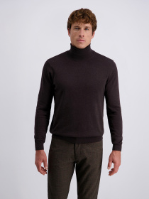 Светри та кардигани Pierre Cardin модель C5 51713.5133.8301 Фото