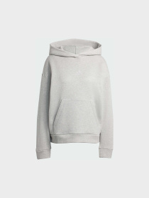 Худи и свитшоты Adidas модель JV5757 Фото